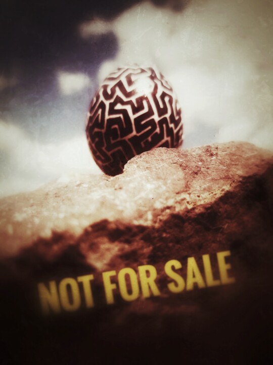 Fotografía titulada "Not for sale" por Bek Ali (Bekmade), Obra de arte original, Fotografía analógica