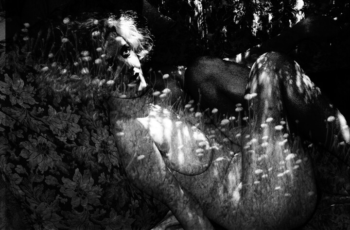 「Glint of Moonlight」というタイトルの写真撮影 Belleart.によって, オリジナルのアートワーク, アナログ写真