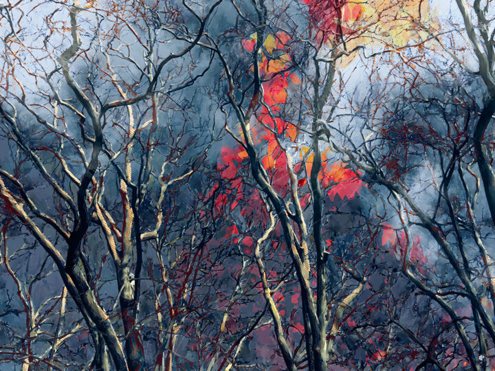 Arte digital titulada "Incendo Arbores" por Bernard Pourchet, Obra de arte original, Trabajo Digital 2D
