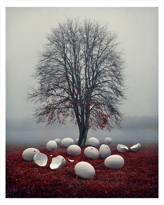 Photographie intitulée "Hibernation 3/3" par Bettina Dupont, Œuvre d'art originale, Photographie numérique