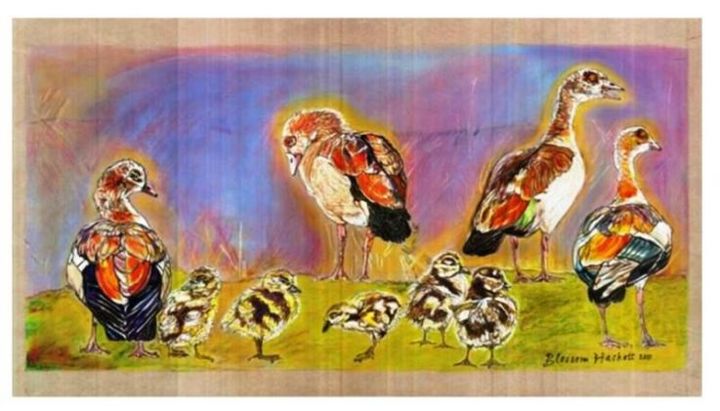 Рисунок под названием "Egyptian Goose N Go…" - Blossom Hackett, Подлинное произведение искусства, Пастель