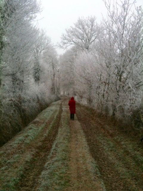 Photographie intitulée "Matin de givre" par Jean Barace, Œuvre d'art originale