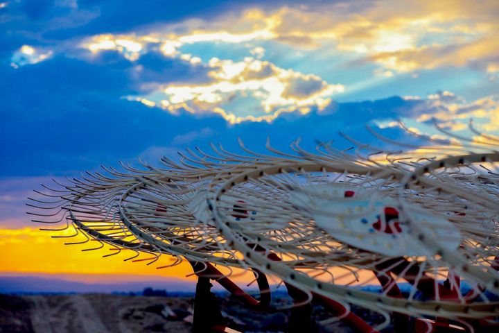 Φωτογραφία με τίτλο "Sunsets harvest" από Bowie Faulk, Αυθεντικά έργα τέχνης, Ψηφιακή φωτογραφία