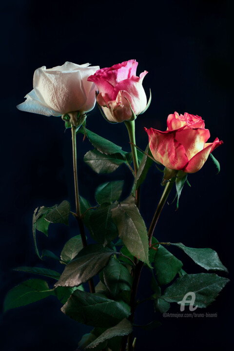 摄影 标题为“les 3 roses” 由Bruno Bisanti, 原创艺术品, 非操纵摄影
