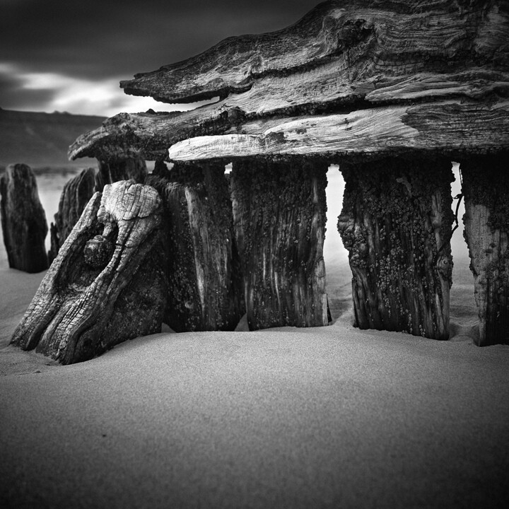 Photographie intitulée "Leviathan Study I" par Bruno Mercier, Œuvre d'art originale, Photographie numérique