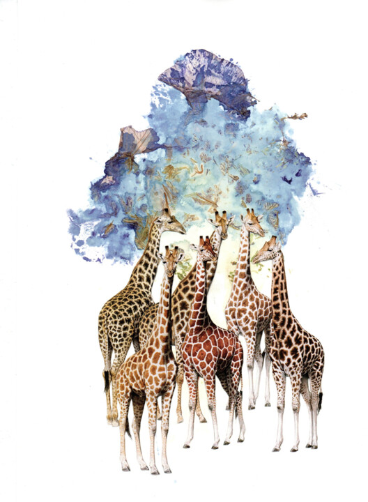 Colagens intitulada "Giraffe Iris" por Caroline Thunus, Obras de arte originais, Colagens