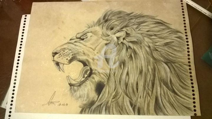 图画 标题为“Lion” 由Carolina Velazquez, 原创艺术品, 铅笔