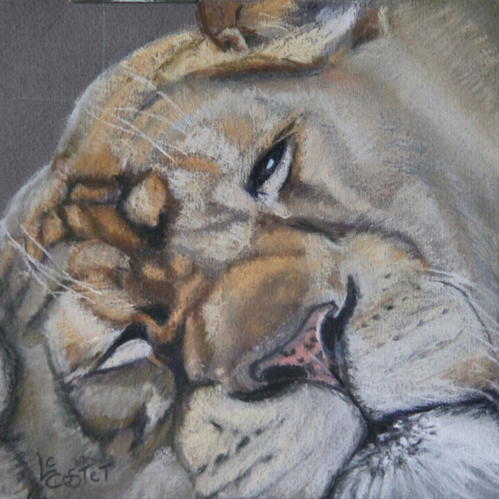 Painting titled "La lionne" by Catherine Costet (Lccat), Original Artwork, Pastel