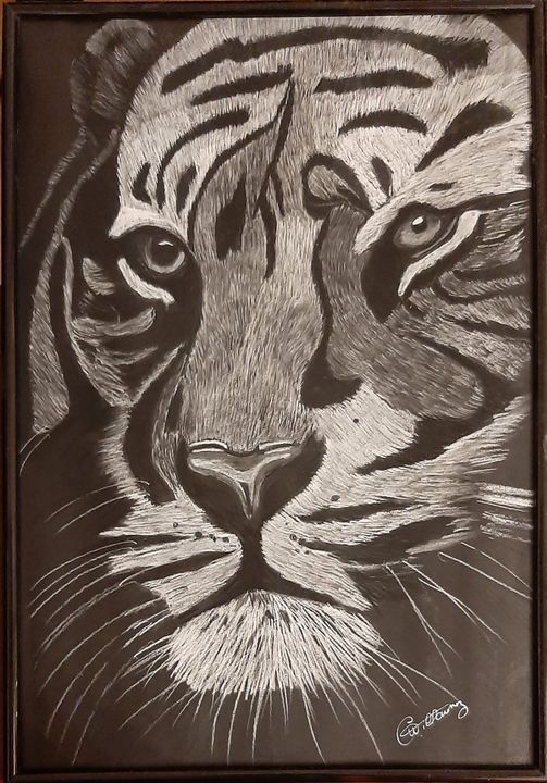Disegno intitolato "Tigre" da Catherine Willaumez, Opera d'arte originale, Pastello