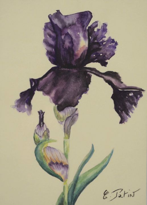 Painting titled "Iris" by Peinturecath, Original Artwork, Watercolor Mounted on Glass