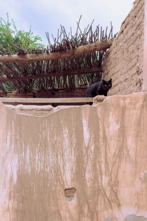 Peinture intitulée "Gato negro" par Cecilia Canal-Feijóo, Œuvre d'art originale, Photographie numérique