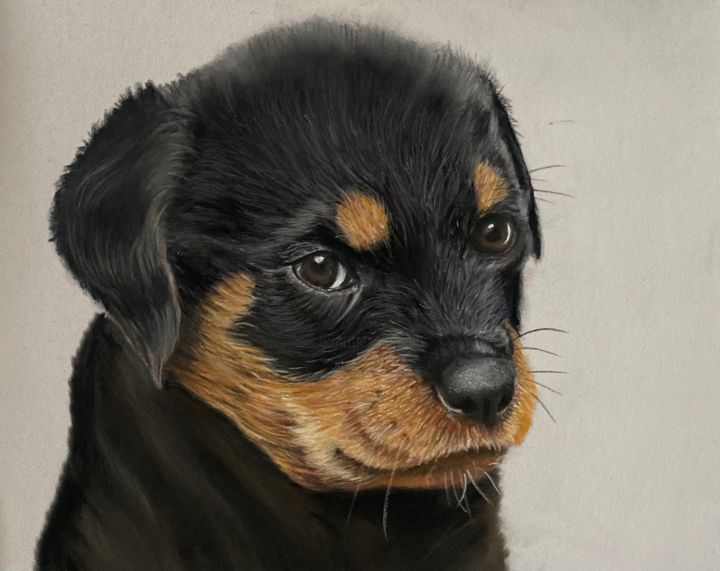 rottweiler paintings