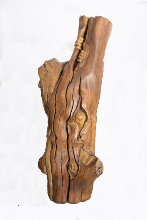 Sculpture titled "O Sentido da Vida" by Roberto Barata, Original Artwork, Wood