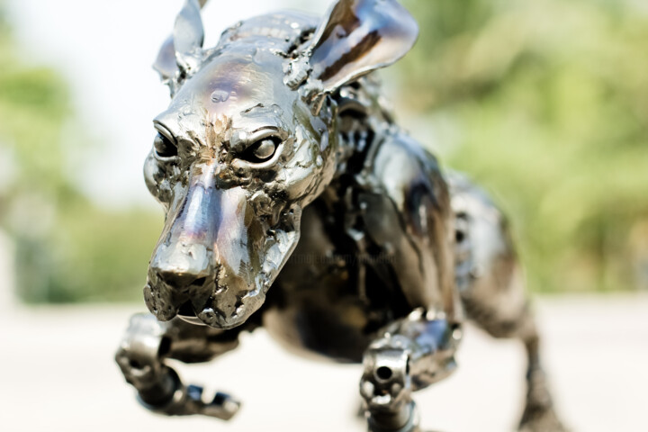 https://www.artmajeur.com/medias/standard/c/h/chatree-choorachatatorn-mari9art/artwork/9870301_2_rocket-dog-metal-art-2-mari9art.jpg