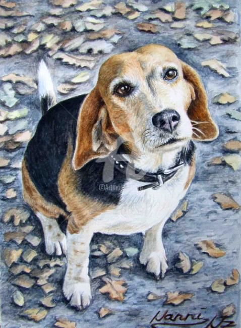 Malerei mit dem Titel "Beagle Nanni" von Arts & Dogs, Original-Kunstwerk, Öl