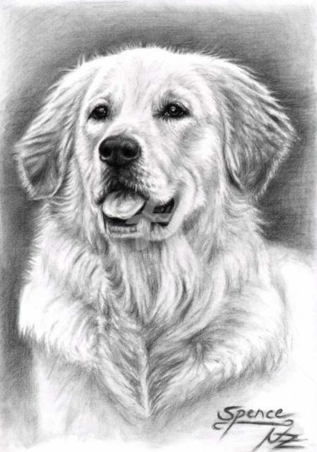 「Golden Retriever Sp…」というタイトルの絵画 Arts & Dogsによって, オリジナルのアートワーク, オイル