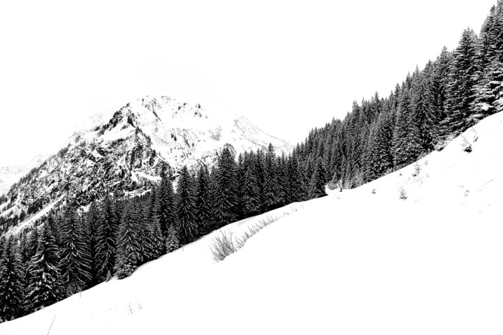 「the winter silence」というタイトルの写真撮影 Christian Schwarzによって, オリジナルのアートワーク, デジタル