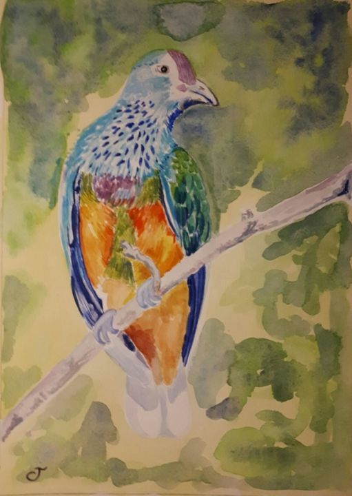 Painting titled "Pigeon africain" by Chris Texier, Original Artwork, Watercolor