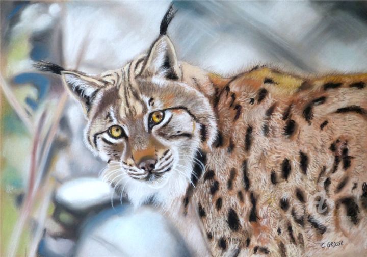 Dessin intitulée "Lynx eurasien" par Christian Grosse, Œuvre d'art originale, Pastel