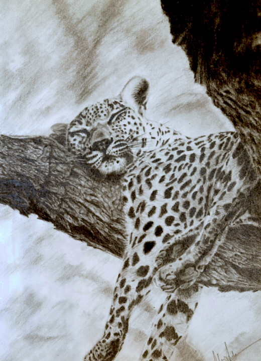 Drawing titled "Easy life" by Christina Diamond, Original Artwork, Graphite