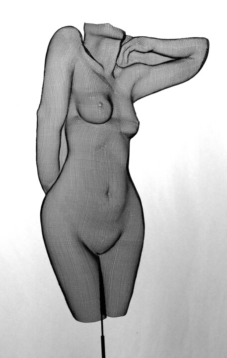 Scultura,  30x20 in 