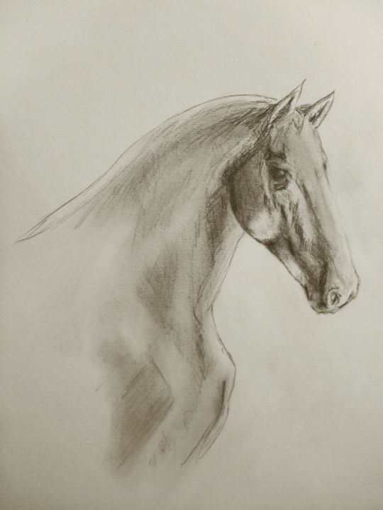 Unfinished Horse Drawing Learn how to draw horse pictures using these