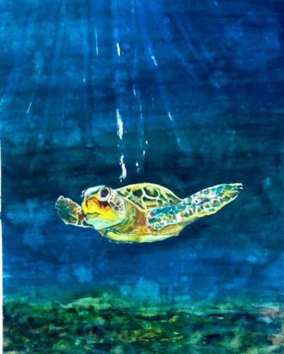 Peinture intitulée "tartaruga.jpg" par Cleusa Maria De Souza Nunes Vieira, Œuvre d'art originale, Aquarelle