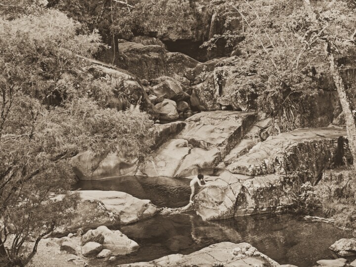 Fotografia intitulada "Beauty in the bush" por Colin Jones, Obras de arte originais, Fotografia digital
