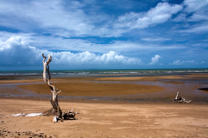 Fotografia intitulada "Sentinel at low tide" por Colin Jones, Obras de arte originais, Fotografia digital