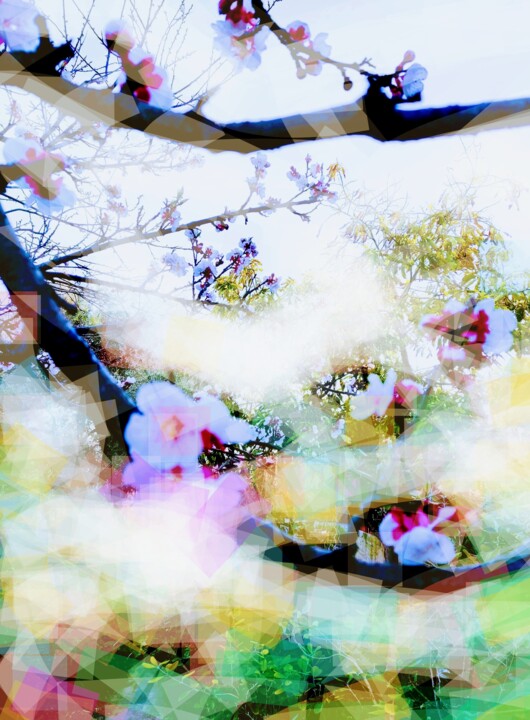 Photographie intitulée "The spring / Le pri…" par Corinne Courlet, Œuvre d'art originale, Light Painting