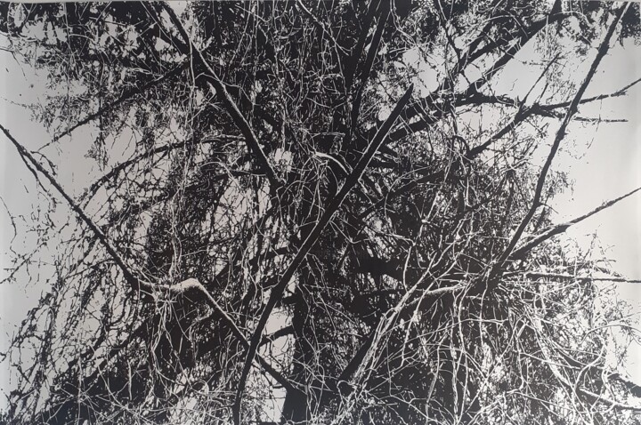 Drawing titled "Father's tree" by Damir Kamenar, Original Artwork, Ink