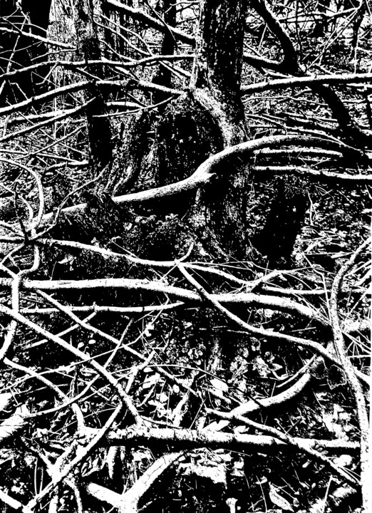 Drawing titled "Forest II" by Damir Kamenar, Original Artwork, Ink