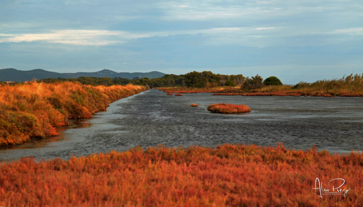 Photography titled "CAMARGUE 4" by Alain Revy, Original Artwork