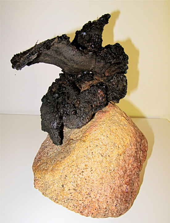 Sculpture intitulée "img-5146.jpg" par Danilo Tadeu Vieira De Sousa, Œuvre d'art originale