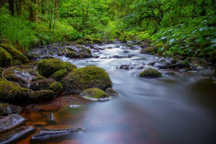 Photography titled "Forest River" by Dariusz Sobala, Original Artwork, Digital Photography