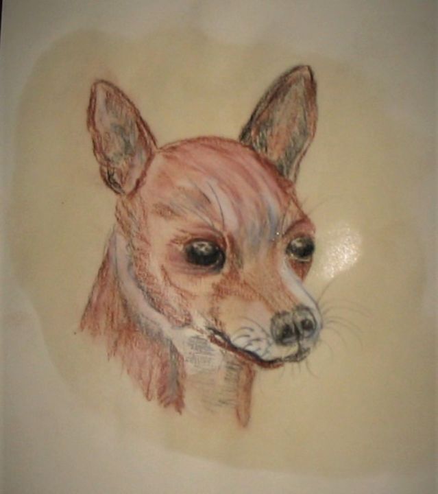 Drawing titled "Chihuahua" by Mars-Art, Original Artwork, Chalk