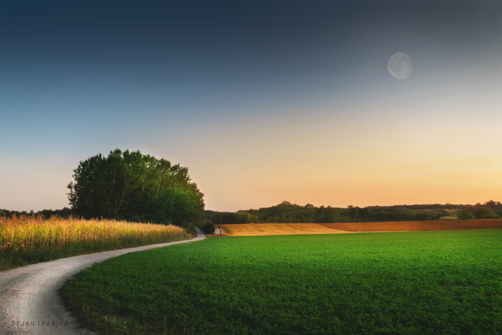 Φωτογραφία με τίτλο "Moon in the sunset" από Dejan Travica, Αυθεντικά έργα τέχνης, Ψηφιακή φωτογραφία