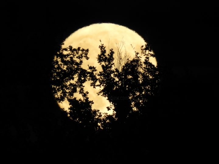 Фотография под названием "Pleine lune" - Delphine Fabregat, Подлинное произведение искусства, Цифровая фотография