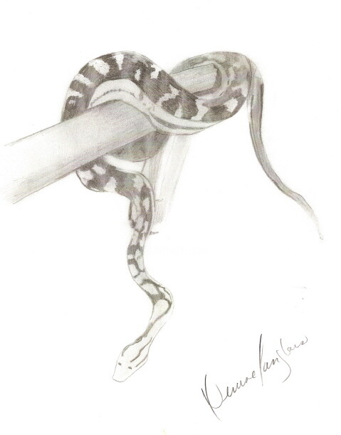 Malerei mit dem Titel "Serpent" von Denise Langlais, Original-Kunstwerk, Öl