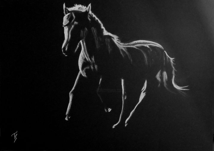Dibujo titulada "les chevaux d'Auber…" por Les Dessins De Sébastien, Obra de arte original, Otro