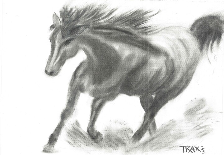 Disegno intitolato "Running Horse Charc…" da Diana Dimova - Traxi, Opera d'arte originale, Carbone