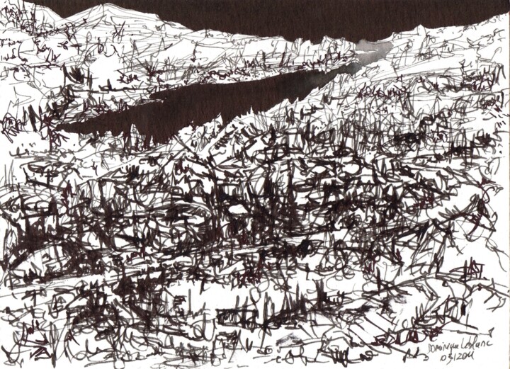 Tekening getiteld "Paysage, lac noir" door Dominique Leblanc, Origineel Kunstwerk, Inkt