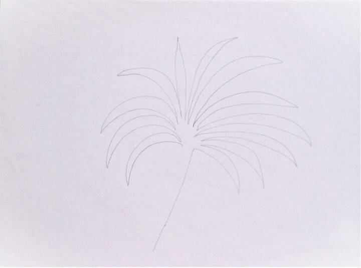 Dibujo titulada "o.T. (palmier)" por Dorothea Breit, Obra de arte original, Lápiz