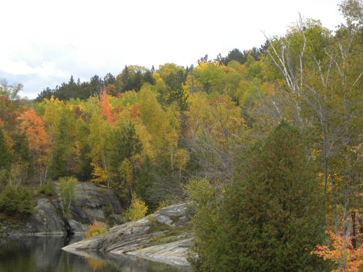 "Northern Ontario Au…" başlıklı Fotoğraf Doug Dunigan tarafından, Orijinal sanat, Dijital Fotoğrafçılık