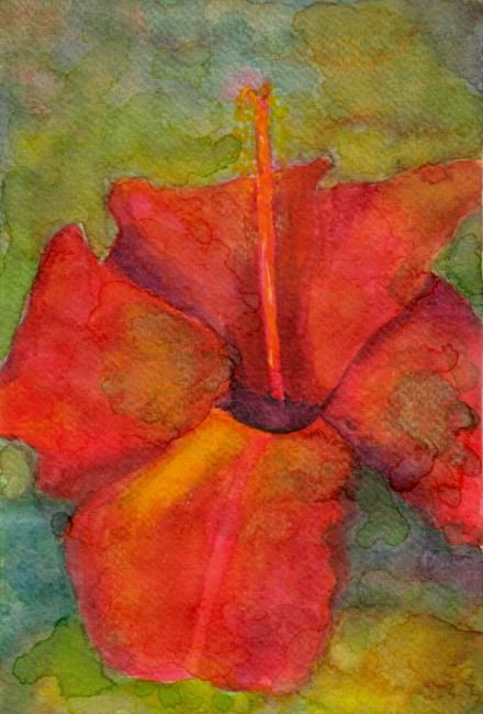 Rosa China Roja, Painting by Edith Fiamingo | Artmajeur