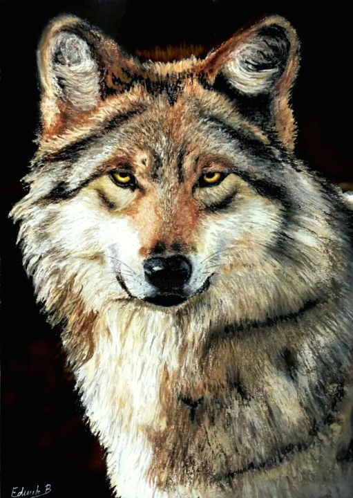 Dibujo titulada "Wolf" por Eduardo Benito, Obra de arte original, Pastel