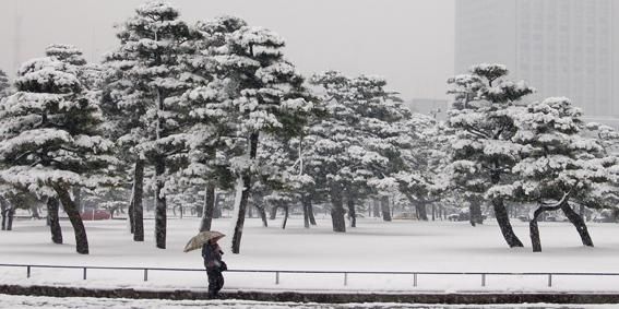 Fotografia intitolato "Waiting in the Snow…" da Elly B, Opera d'arte originale