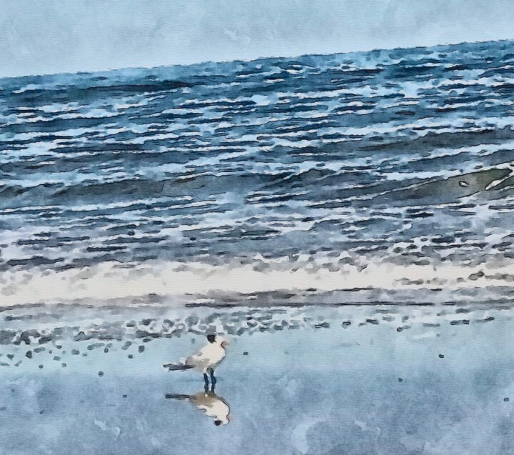 Photography titled "Seagull Reflections…" by Elizabeth Austin, Original Artwork, Manipulated Photography