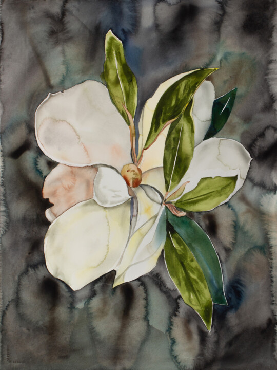 Pintura titulada "Magnolia Study No. 7" por Elizabeth Becker, Obra de arte original, Acuarela