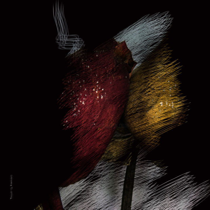 Digital Arts titled "flowers" by Youssef El Kharroufi, Original Artwork